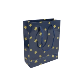 Gift bag Christmas stars, 20 x 25 x 8 cm, blue 