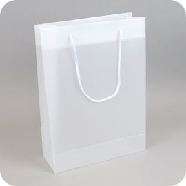Advertising bag with A4 title page window, 26 x 36 x 10 cm, matt transparent 