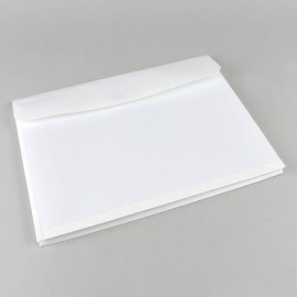 Document pouch A4, with Velcro fastener and expansion fold up to 400 sheets, PP film, white 