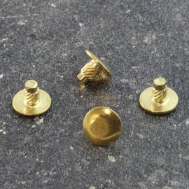 Press-in heads for binding screws, 6 mm, brass-plated 