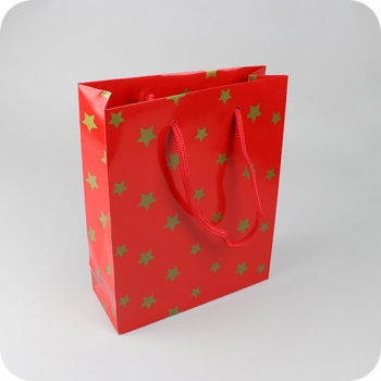 Gift bag Christmas stars, 20 x 25 x 8 cm, red 