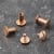 Binding screws, copper-plated 10 mm