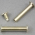 Binding screws with hammertop, brass-plated 30 mm